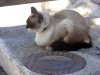Andalusien_049